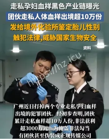 广州孕妇血样走私